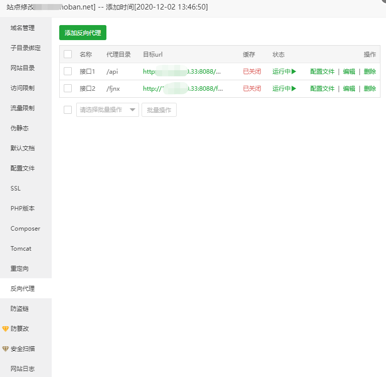 宝塔vue项目nginx反向代理设置