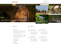 动物保护协会网站静态模板