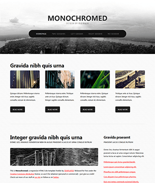 Monochromed主题企业网站html模板