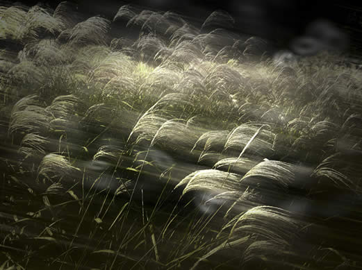 layer